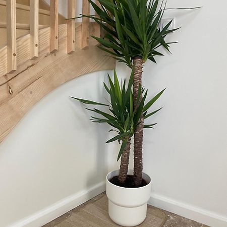 L Appartement Sete Magnifique Duplex Climatise Exteriör bild