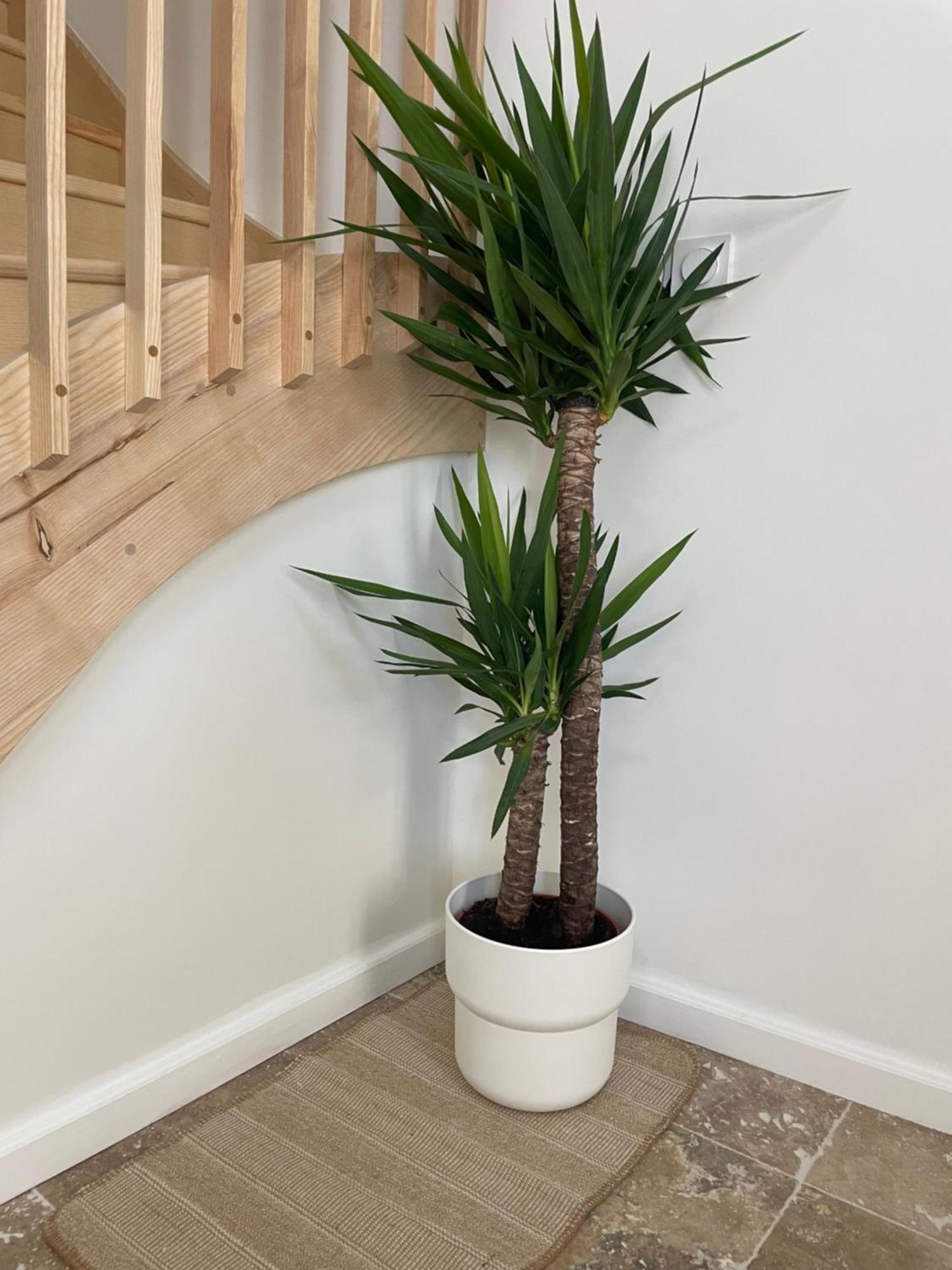 L Appartement Sete Magnifique Duplex Climatise Exteriör bild